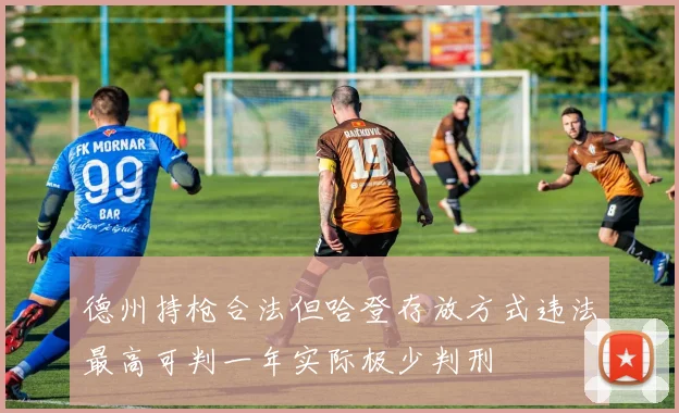 德州持枪合法但哈登存放方式违法最高可判一年实际极少判刑