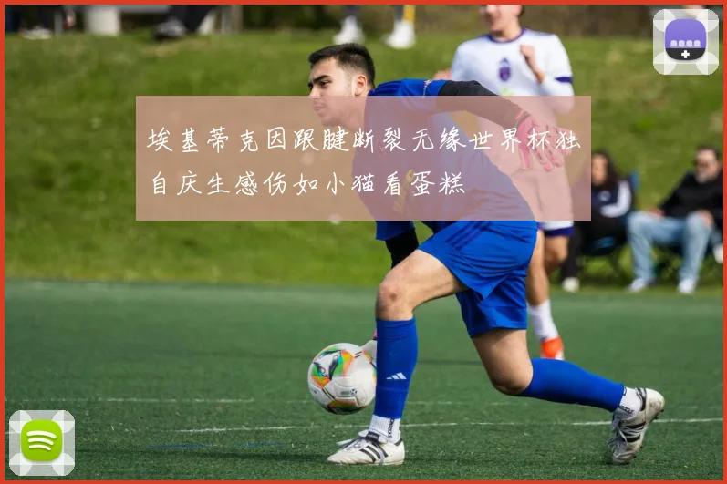 埃基蒂克因跟腱断裂无缘世界杯独自庆生感伤如小猫看蛋糕