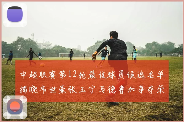 中超联赛第12轮最佳球员候选名单揭晓韦世豪张玉宁马德鲁加争夺荣誉