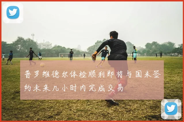 普罗维德尔体检顺利即将与国米签约未来几小时内完成交易